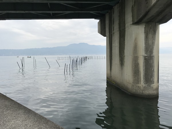 琵琶湖バス釣り