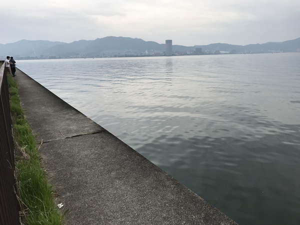 琵琶湖バス釣り