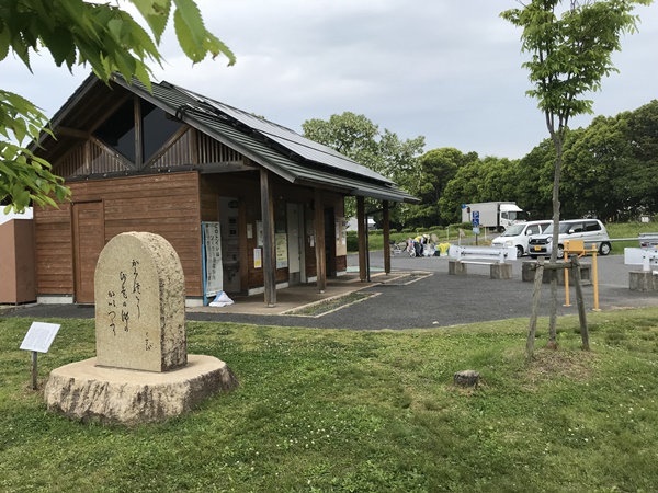 琵琶湖バス釣り