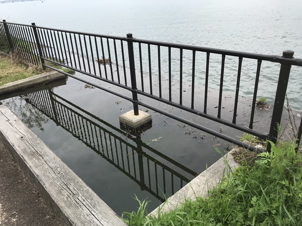 琵琶湖バス釣り