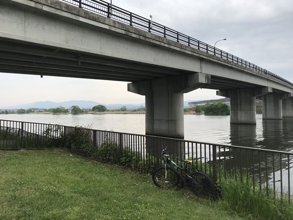 琵琶湖バス釣り