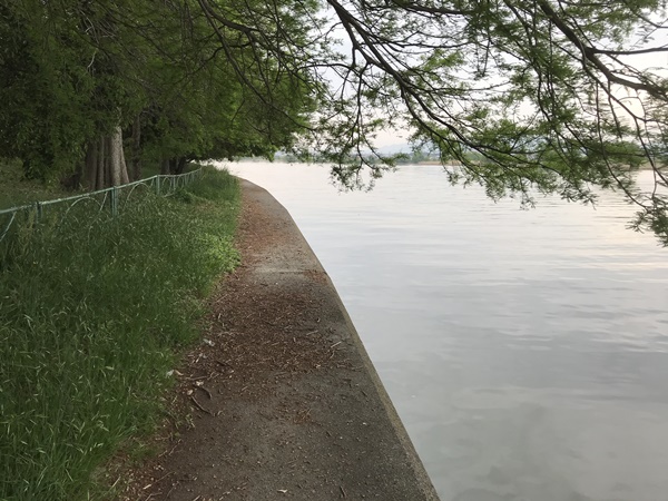 琵琶湖バス釣り