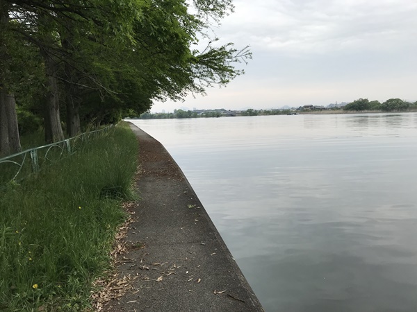 琵琶湖バス釣り
