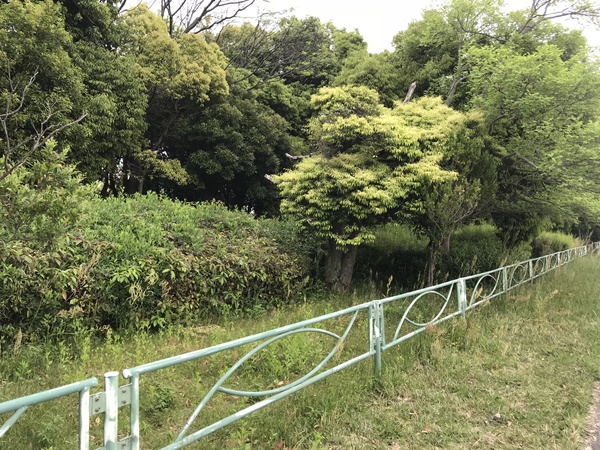 琵琶湖バス釣り