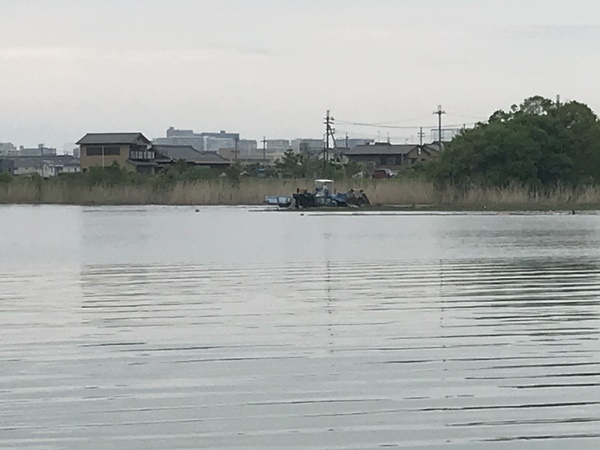 琵琶湖バス釣り