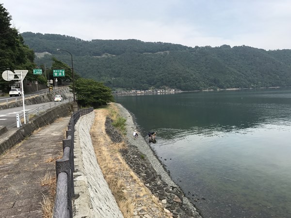 琵琶湖バス釣り