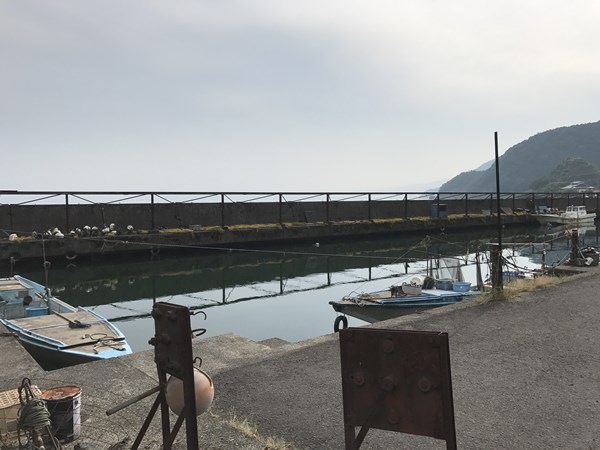 琵琶湖バス釣り