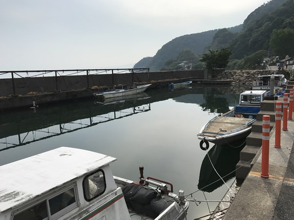 琵琶湖バス釣り