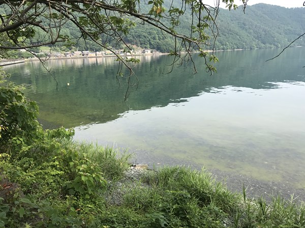 琵琶湖バス釣り