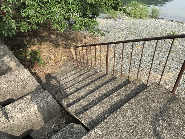 琵琶湖バス釣り