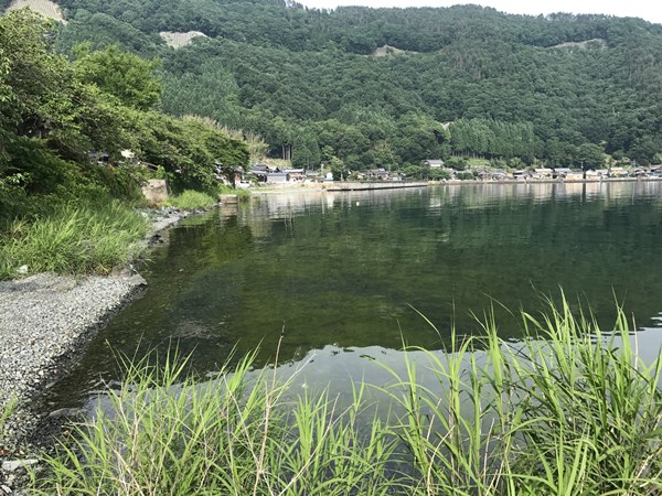 琵琶湖バス釣り