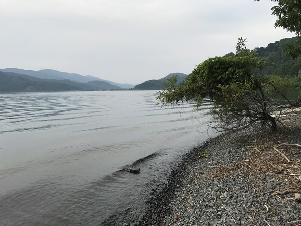 琵琶湖バス釣り