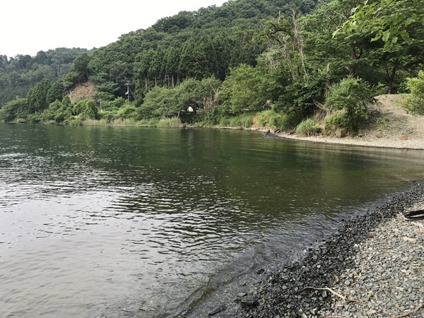 琵琶湖バス釣り