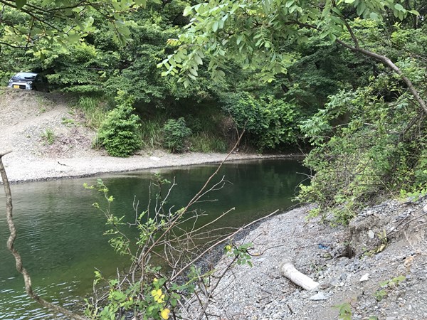 琵琶湖バス釣り