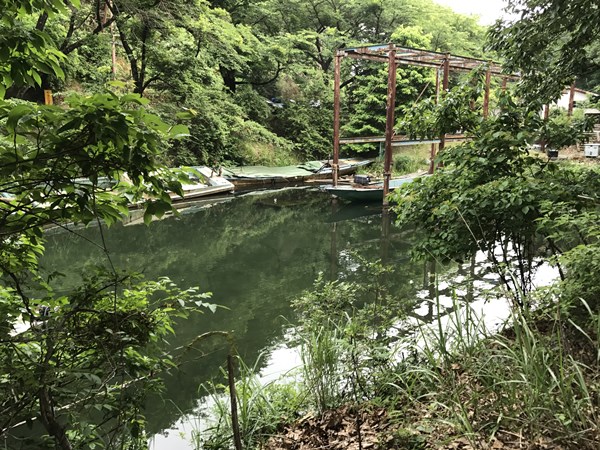 琵琶湖バス釣り