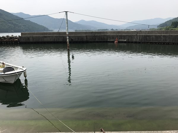 琵琶湖バス釣りポイント