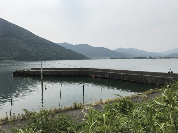 琵琶湖バス釣りポイント