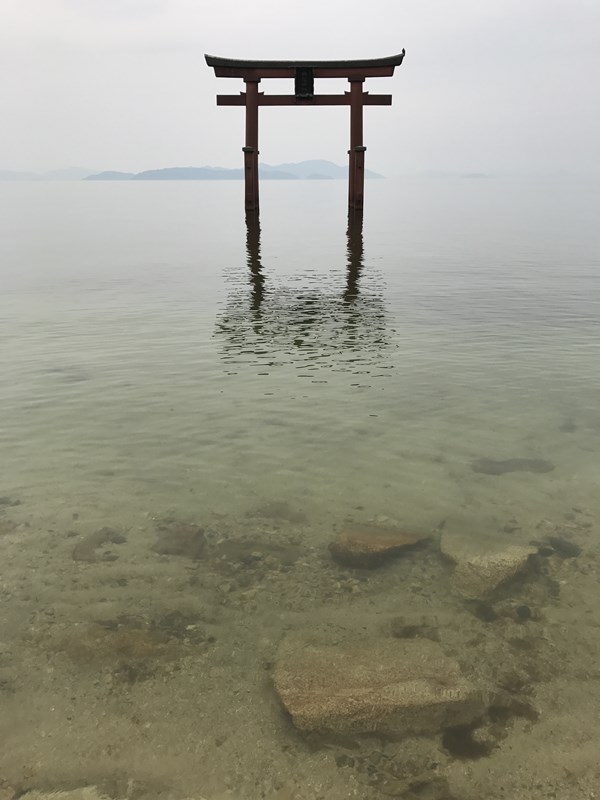 琵琶湖バス釣りポイント