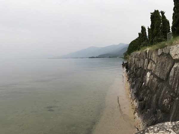 琵琶湖バス釣りポイント