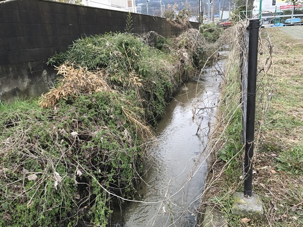 琵琶湖バス釣りポイント