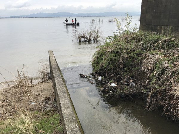琵琶湖バス釣りポイント
