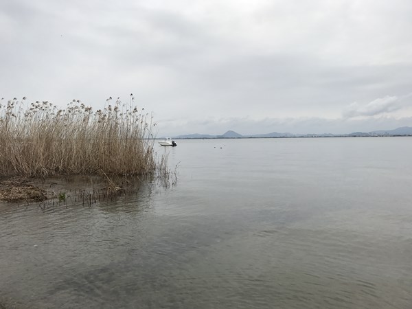 琵琶湖バス釣りポイント