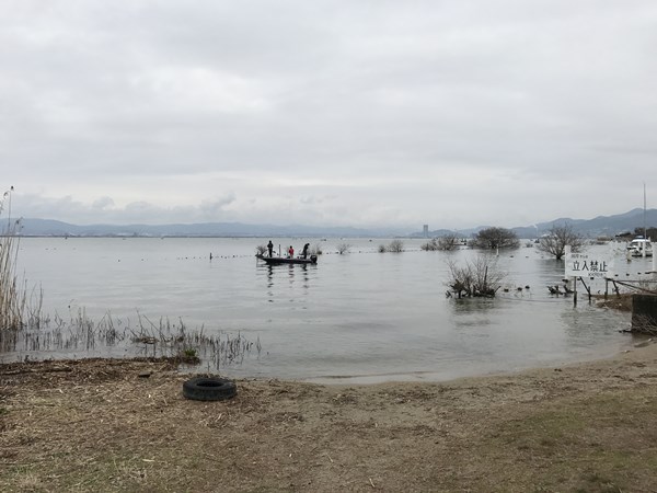 琵琶湖バス釣りポイント