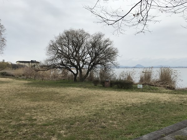 琵琶湖バス釣りポイント