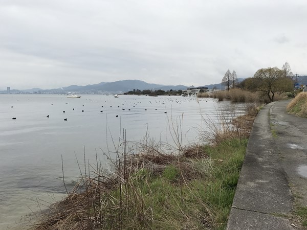 琵琶湖バス釣りポイント