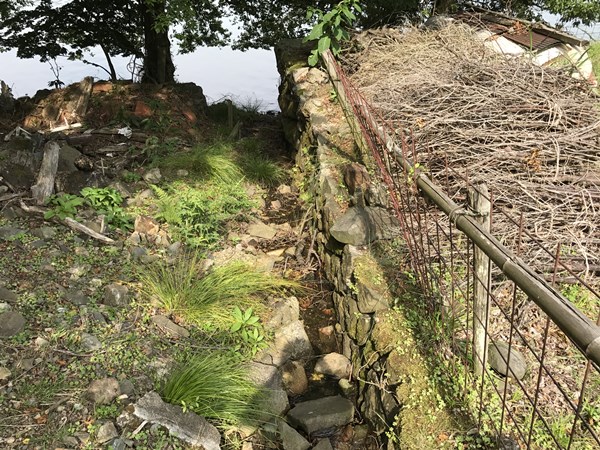 琵琶湖バス釣りポイント