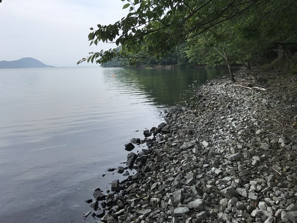 琵琶湖バス釣りポイント