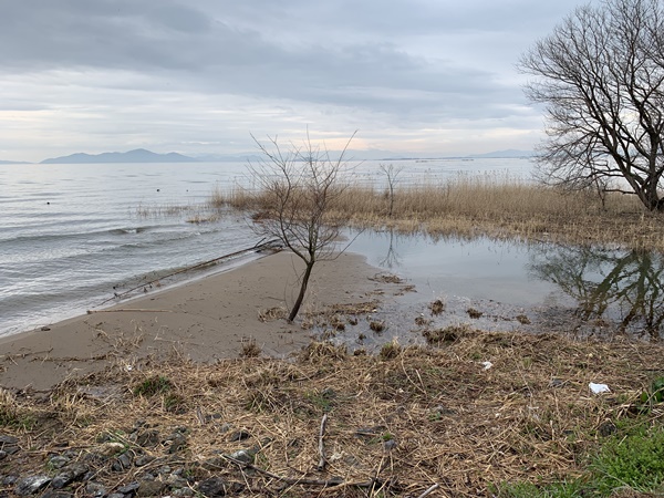 琵琶湖バス釣り
