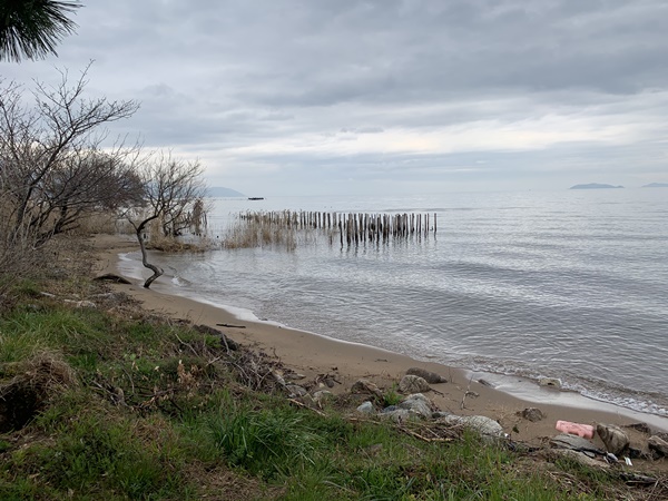 琵琶湖バス釣り