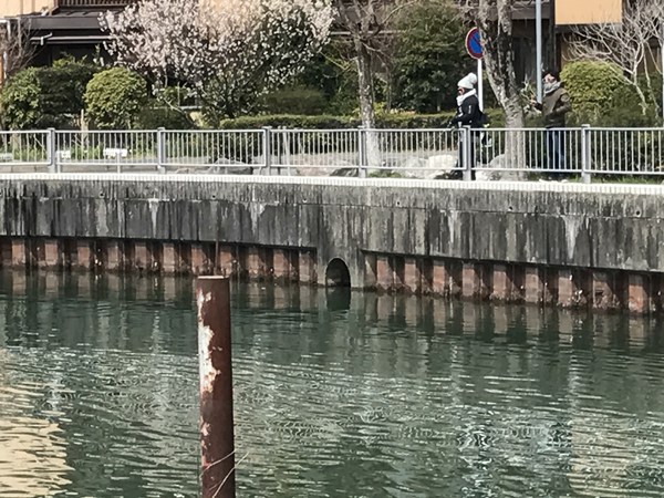 琵琶湖バス釣りポイント　雄琴港