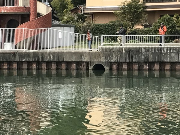 琵琶湖バス釣りポイント　雄琴港