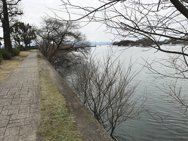 琵琶湖バス釣りポイント　雄琴港