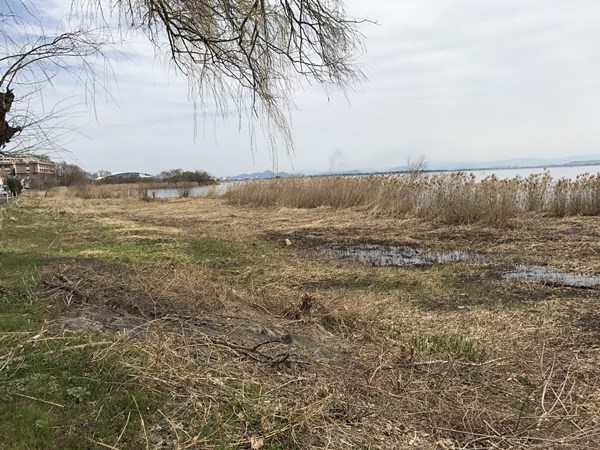 琵琶湖バス釣りポイント　雄琴港