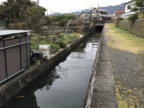 琵琶湖バス釣りポイント　唐崎苑