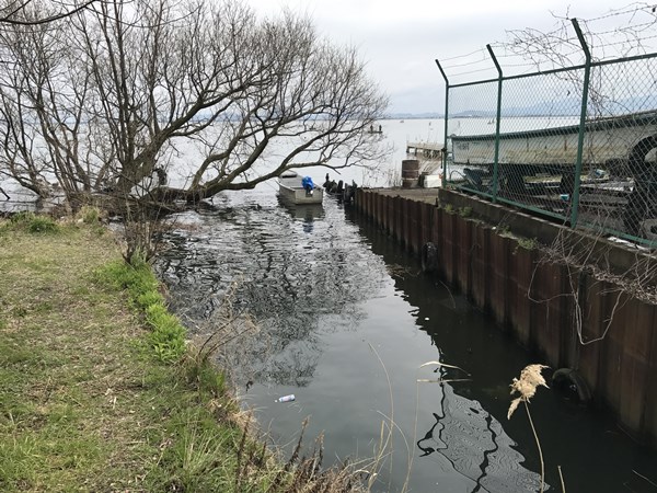 琵琶湖バス釣りポイント　唐崎苑