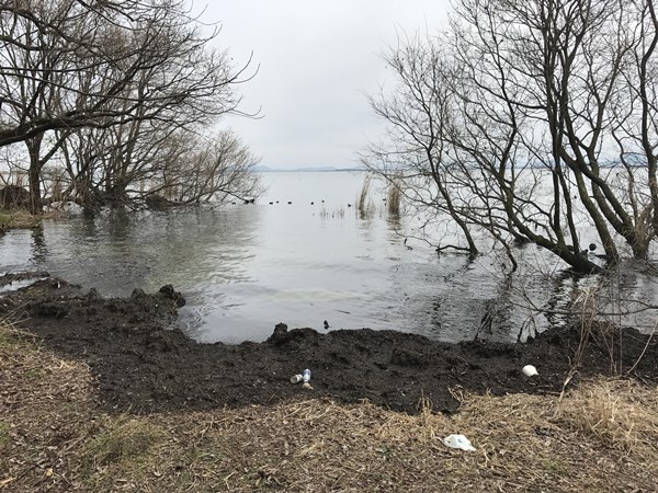 琵琶湖バス釣りポイント　唐崎苑