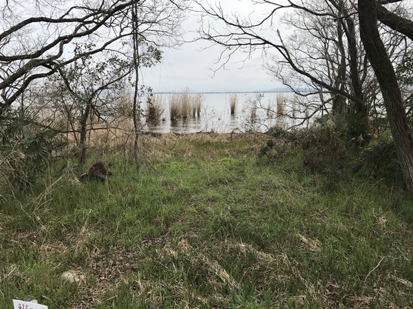 琵琶湖バス釣りポイント　唐崎苑