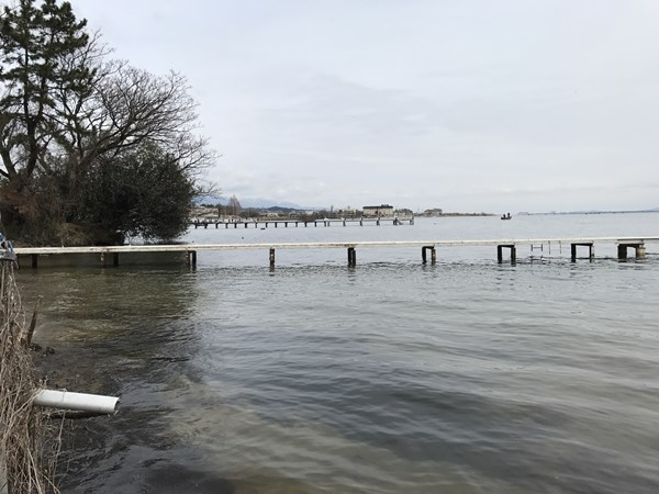 琵琶湖バス釣りポイント　唐崎苑