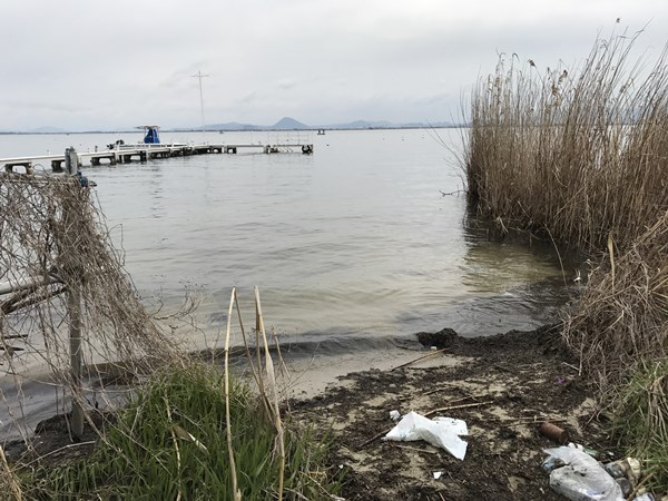 琵琶湖バス釣りポイント　唐崎苑