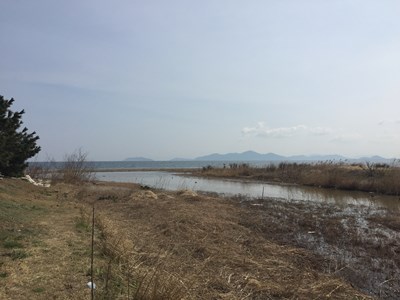 琵琶湖バス釣りポイント 和邇川