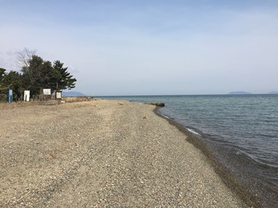 琵琶湖バス釣りポイント 今宿浜