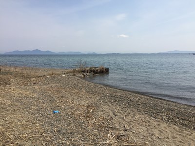 琵琶湖バス釣りポイント 今宿浜