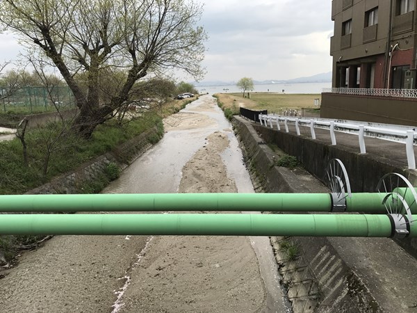 琵琶湖バス釣り