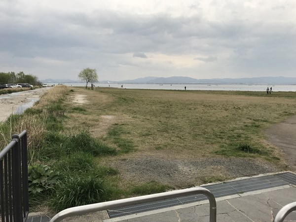 琵琶湖バス釣り