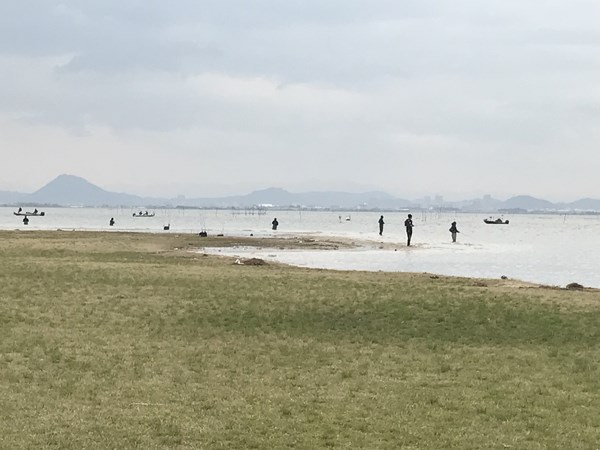 琵琶湖バス釣り