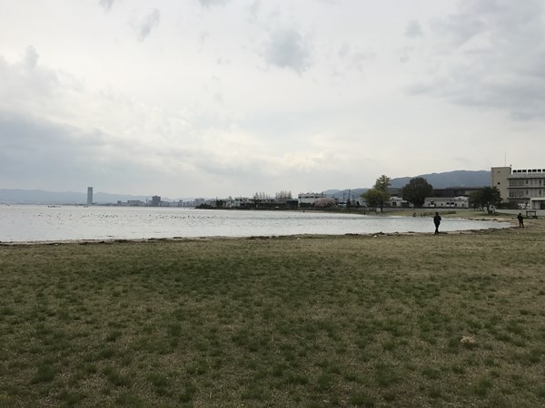 琵琶湖バス釣り